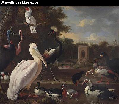 unknow artist A Pelican and other exotic birds in a park